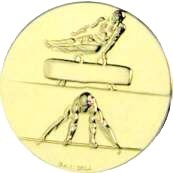 Gimnastika muška art 216