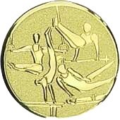 Gimnastika muška ref 91