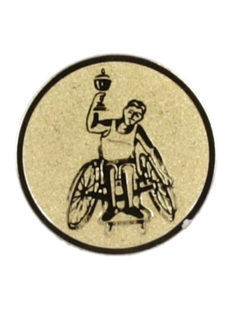 Invalidi 374