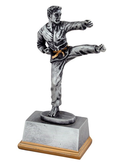 Karate 60561