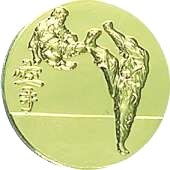 Karate art 127