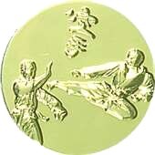 Karate art 129