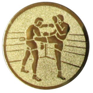 Kickboxing A1