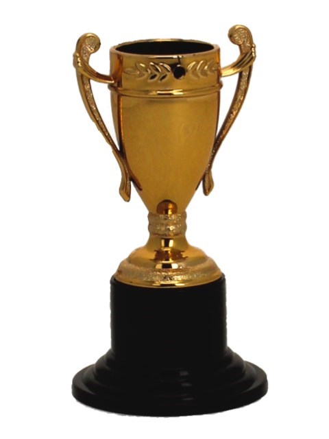 Medalja Plastični pehar - Bronca