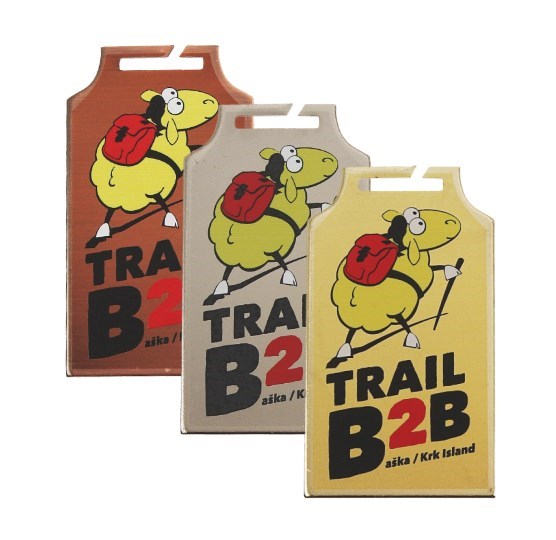 Medalja za tisak (437) 80x45mm - Zlato