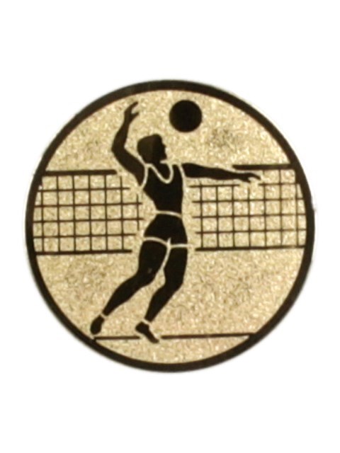Odbojka muški 122