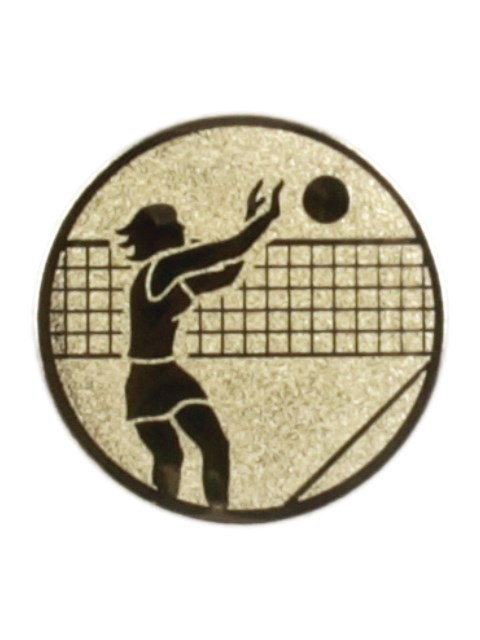 Odbojka žene 123