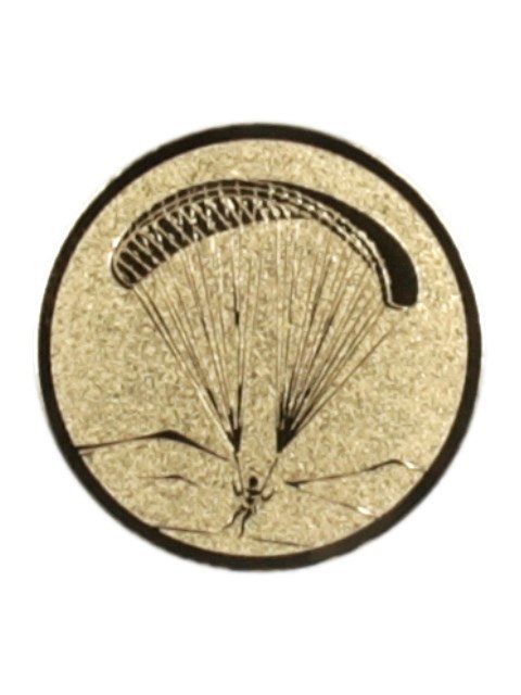 Paragliding 203