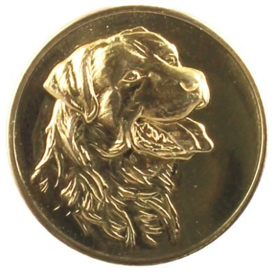 Psi Labrador art 167