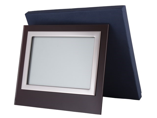 Staklo model 3099